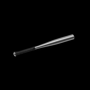 Metal Baseball Bat